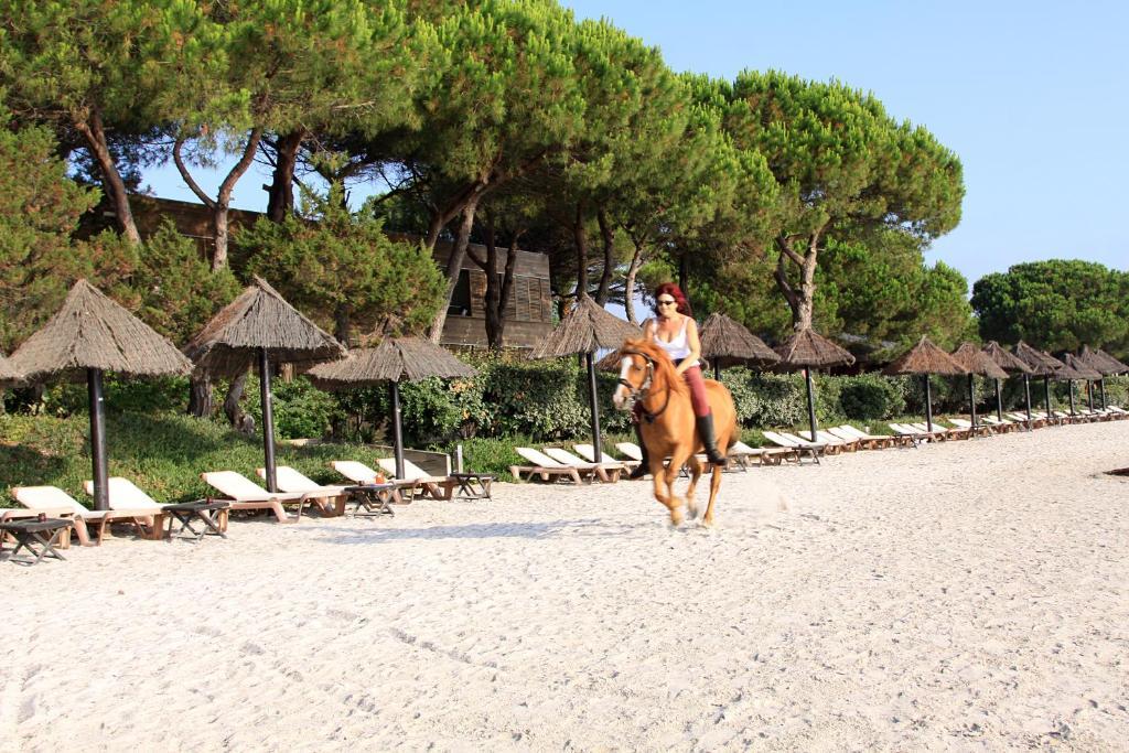 Hotel & Lodges Moby Dick Porto-Vecchio  Exterior photo